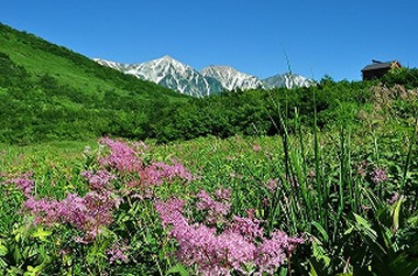 白馬の夏